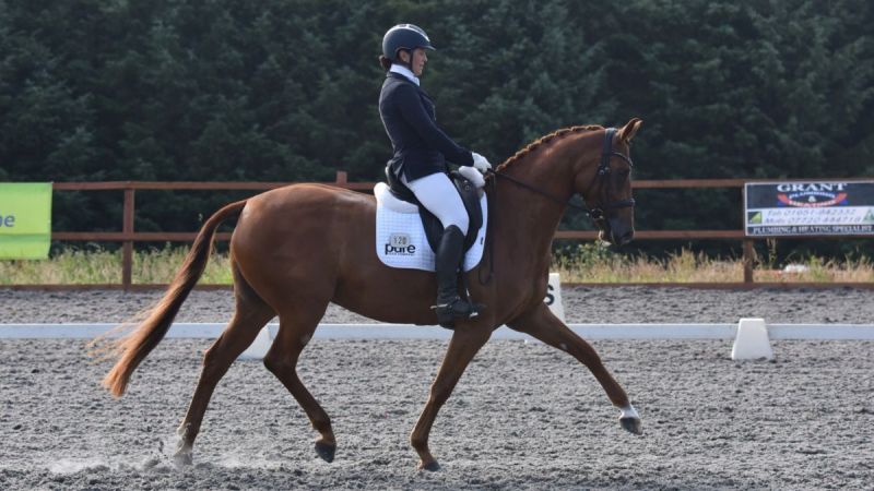 British Dressage Area Festival 